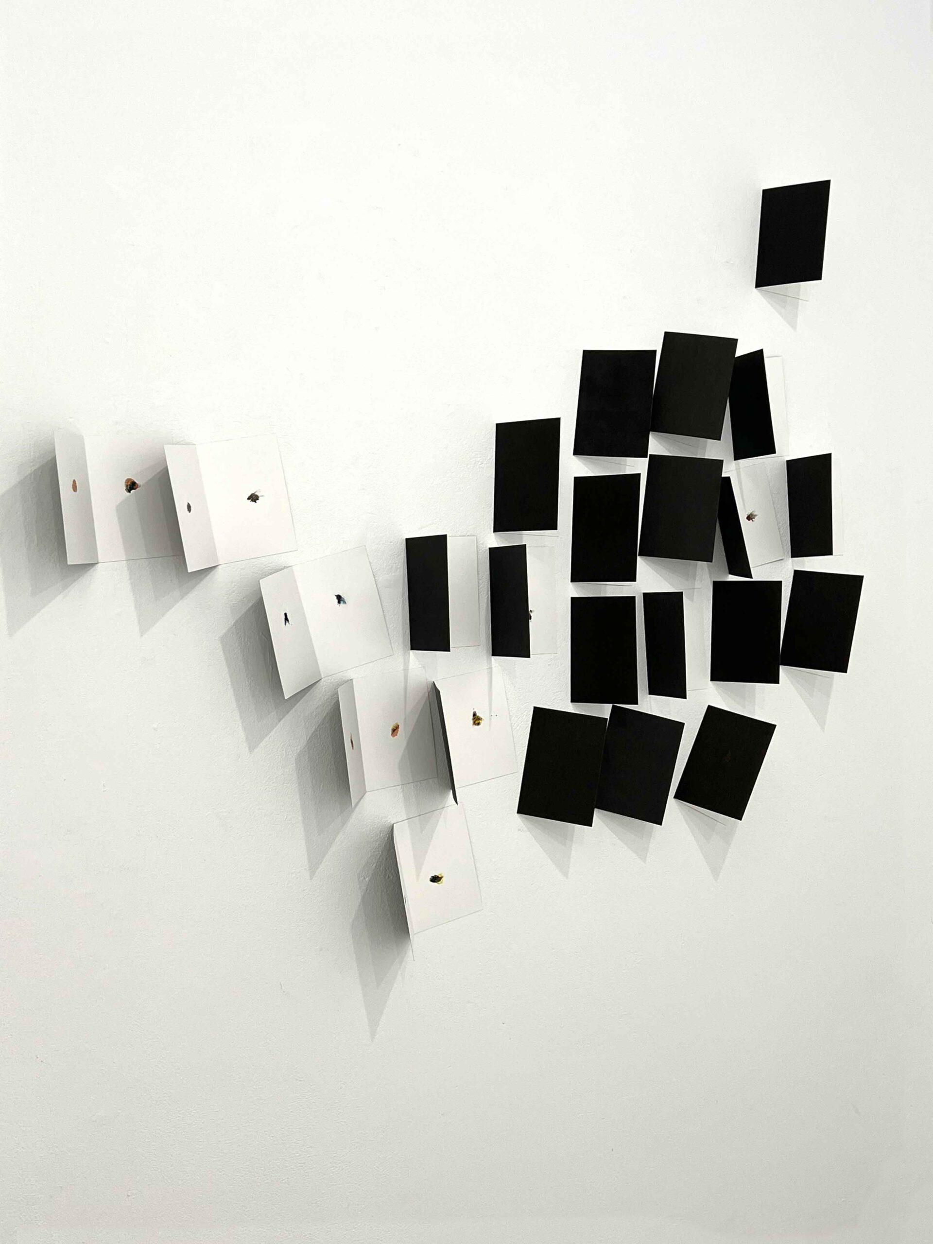 Klatschbilder Installation