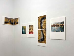 Laubbilder in Ausstellung